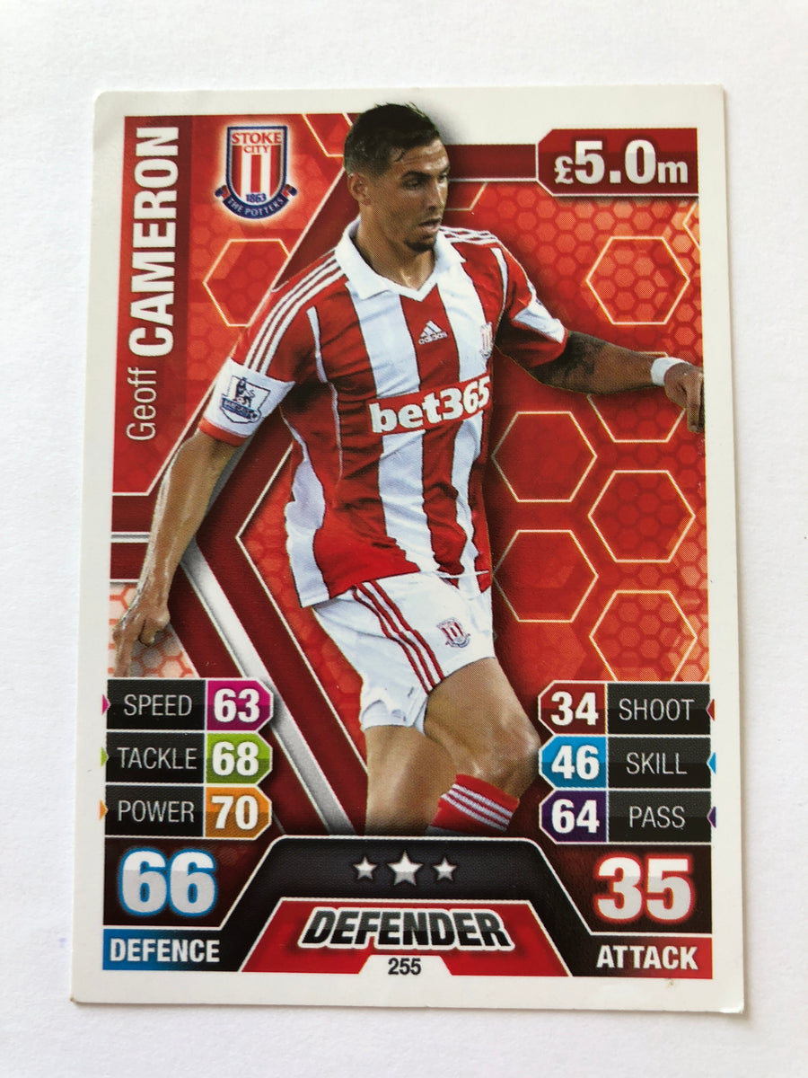 255. GEOFF CAMERON - STOKE CITY
