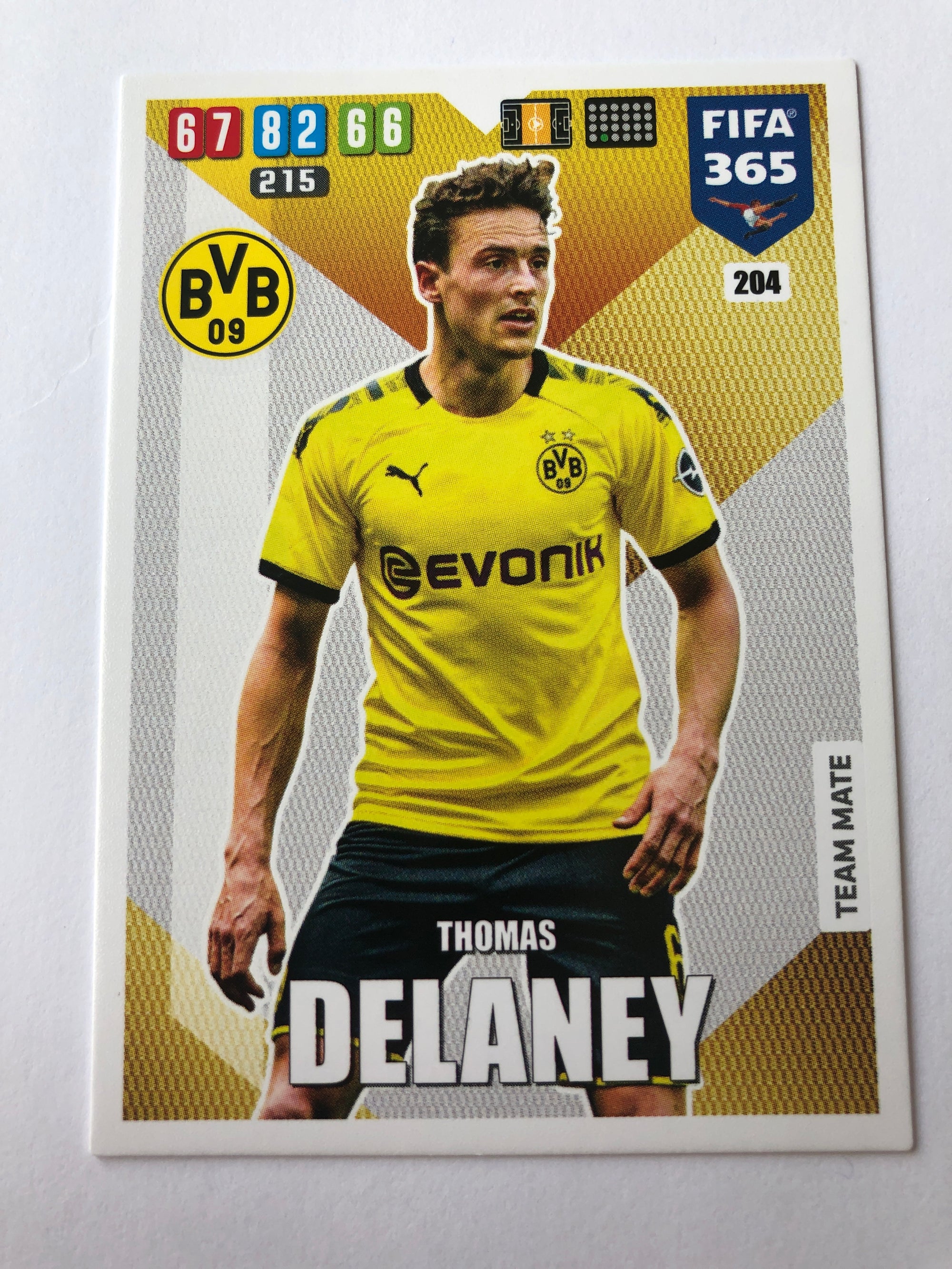204. THOMAS DELANEY - BORUSSIA DORTMUND - TEAM MATE