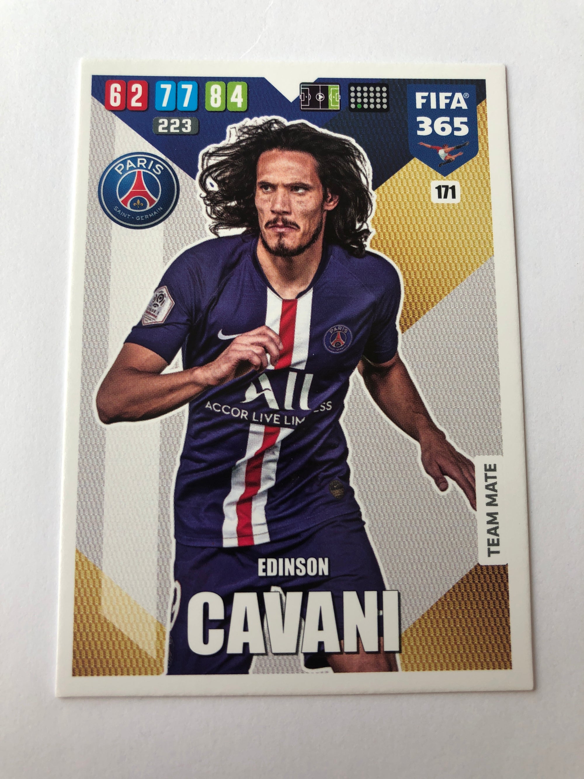 171. EDINSON CAVANI - PARIS SAINT-GERMAIN - TEAM MATE