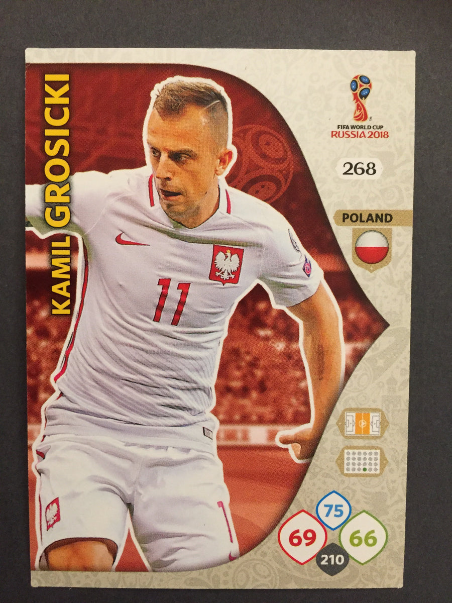268. KAMIL GROSICKI - POLAND