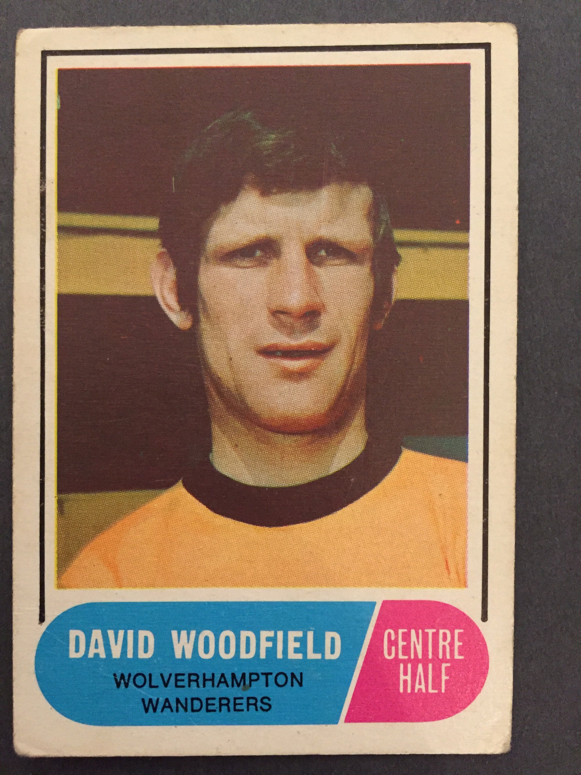 117. DAVID WOODFIELD - WOLVERHAMPTON
