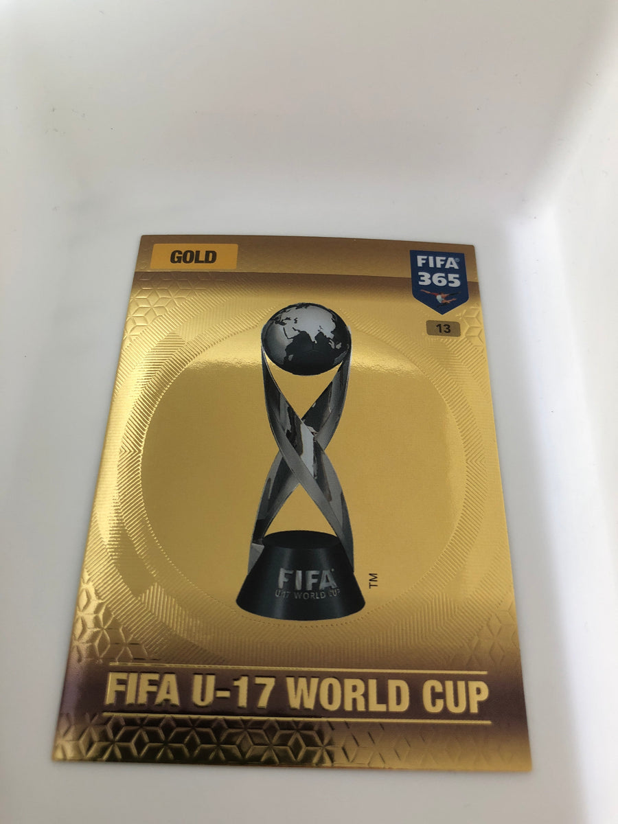 013. FIFA U-17 WORLD CUP - GOLD