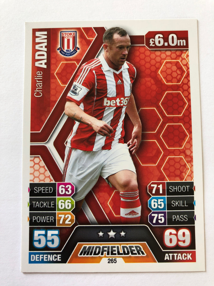 265. CHERLIE ADAM - STOKE CITY