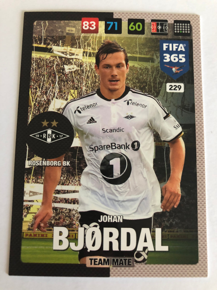 229. JOHAN BJØRDAL - ROSENBORG BK - TEAM MATE