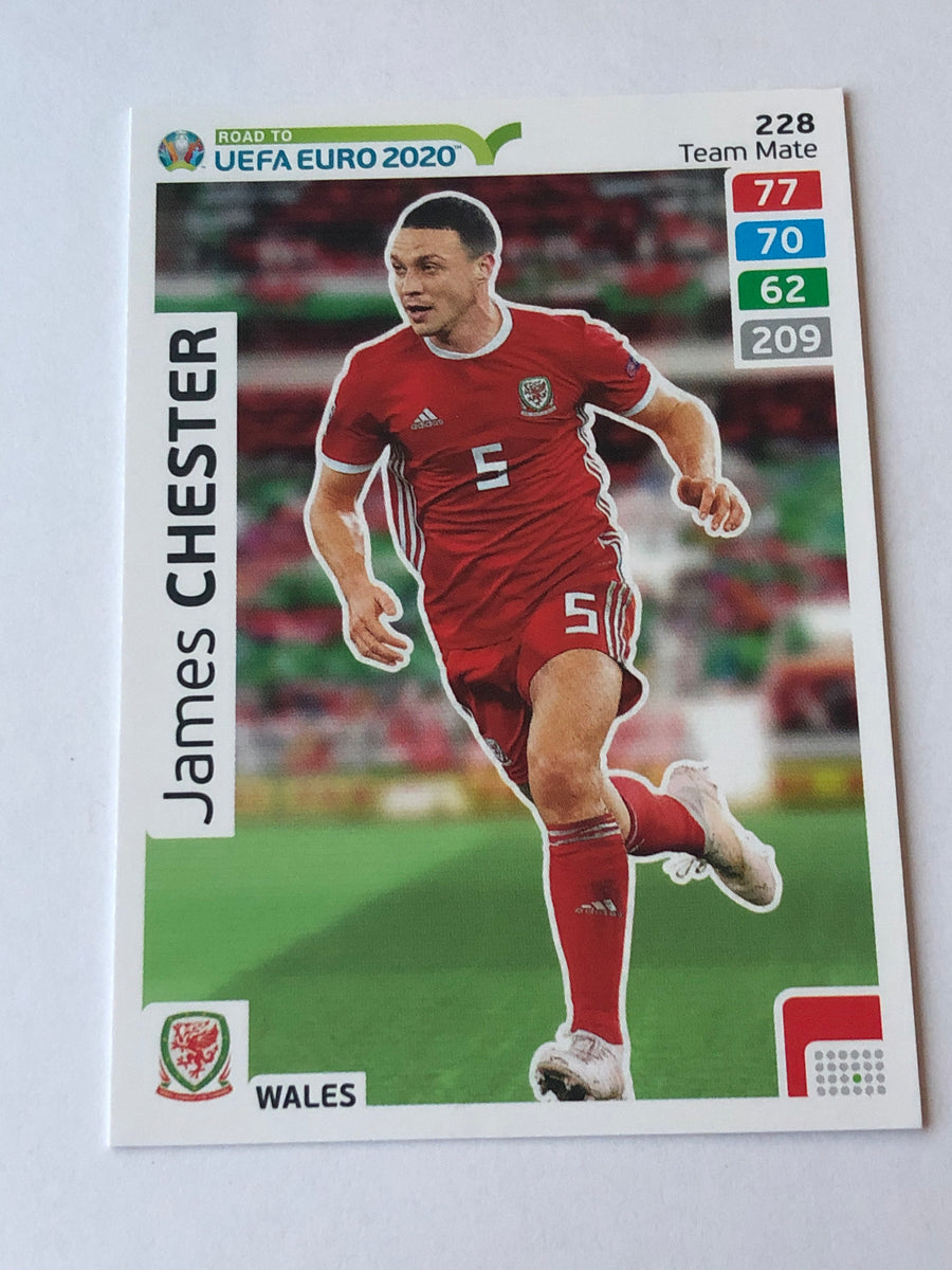 228. JAMES CHESTER - WALES