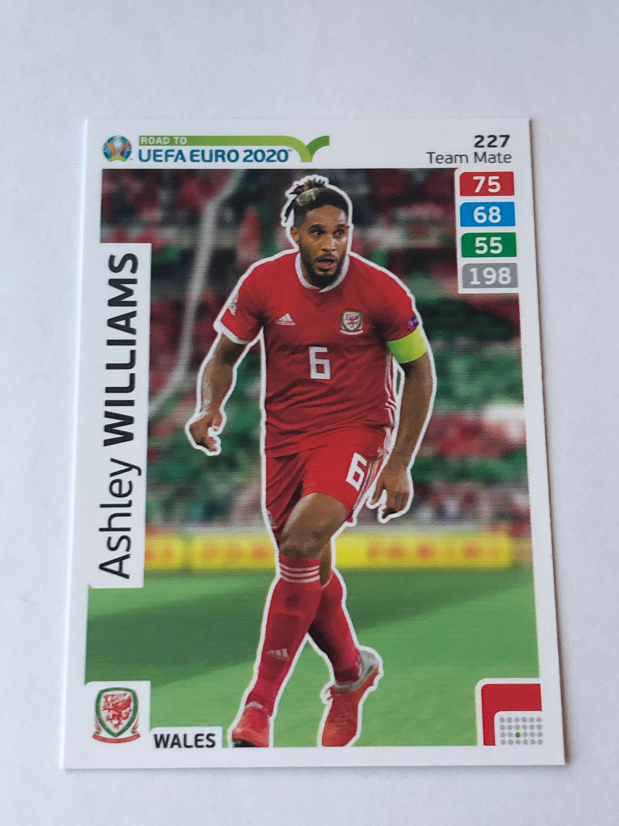 227. ASHLEY WILLIAMS - WALES