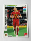 011. TOBY ALDERWEIRELD - BELGIA