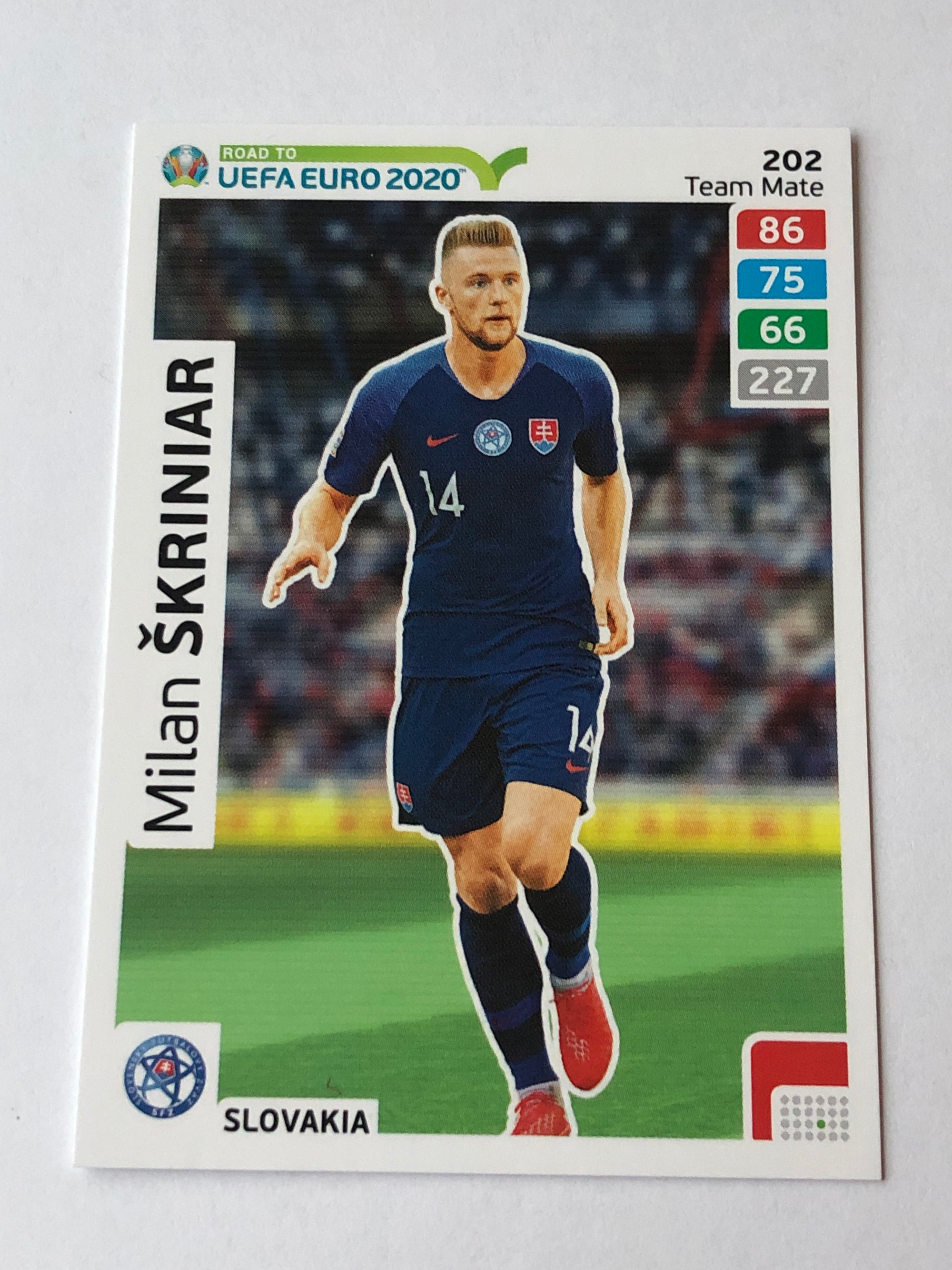 202. MILAN SKRINIAR - SLOVAKIA