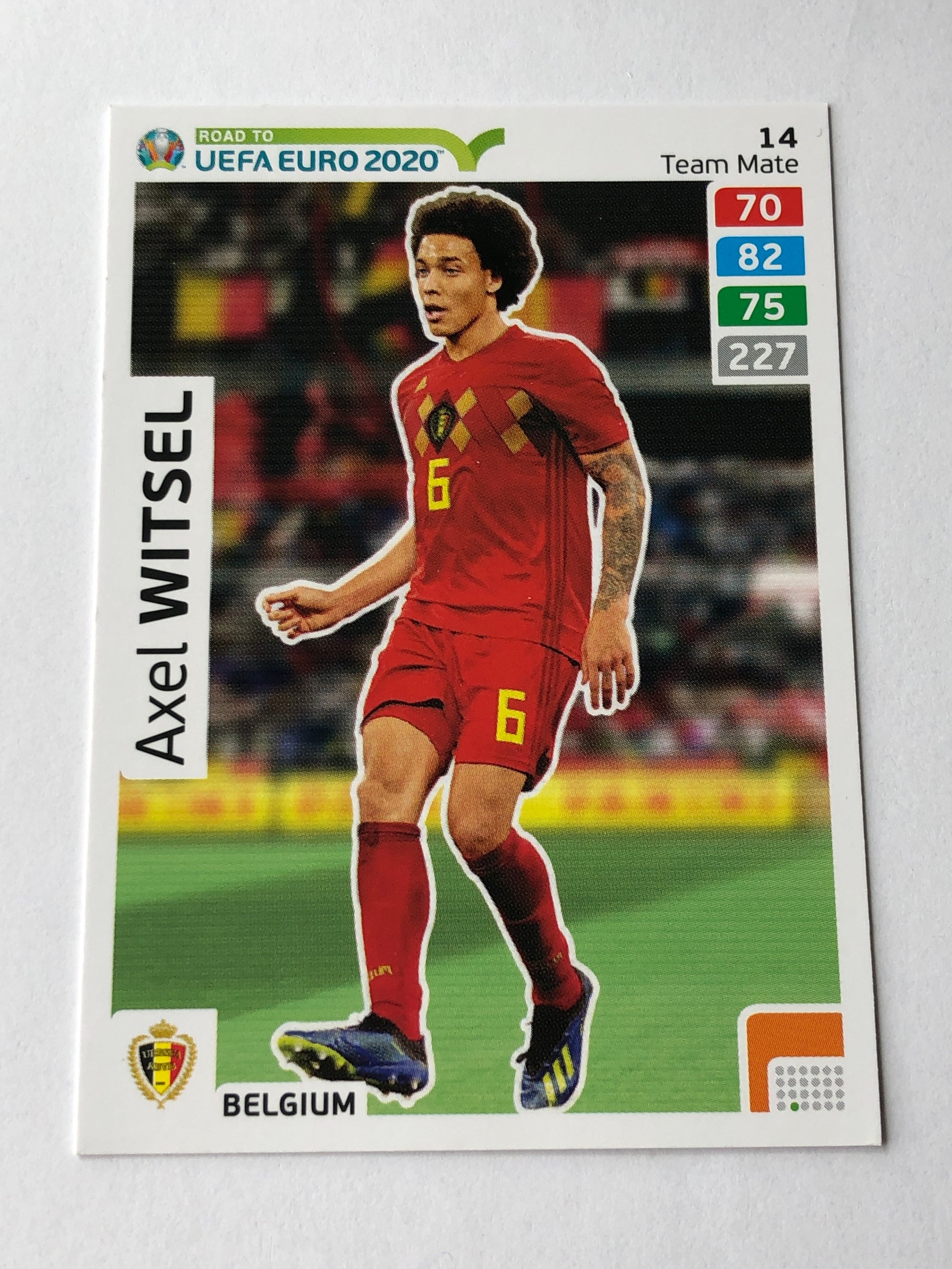 014. AXEL WITSEL - BELGIA