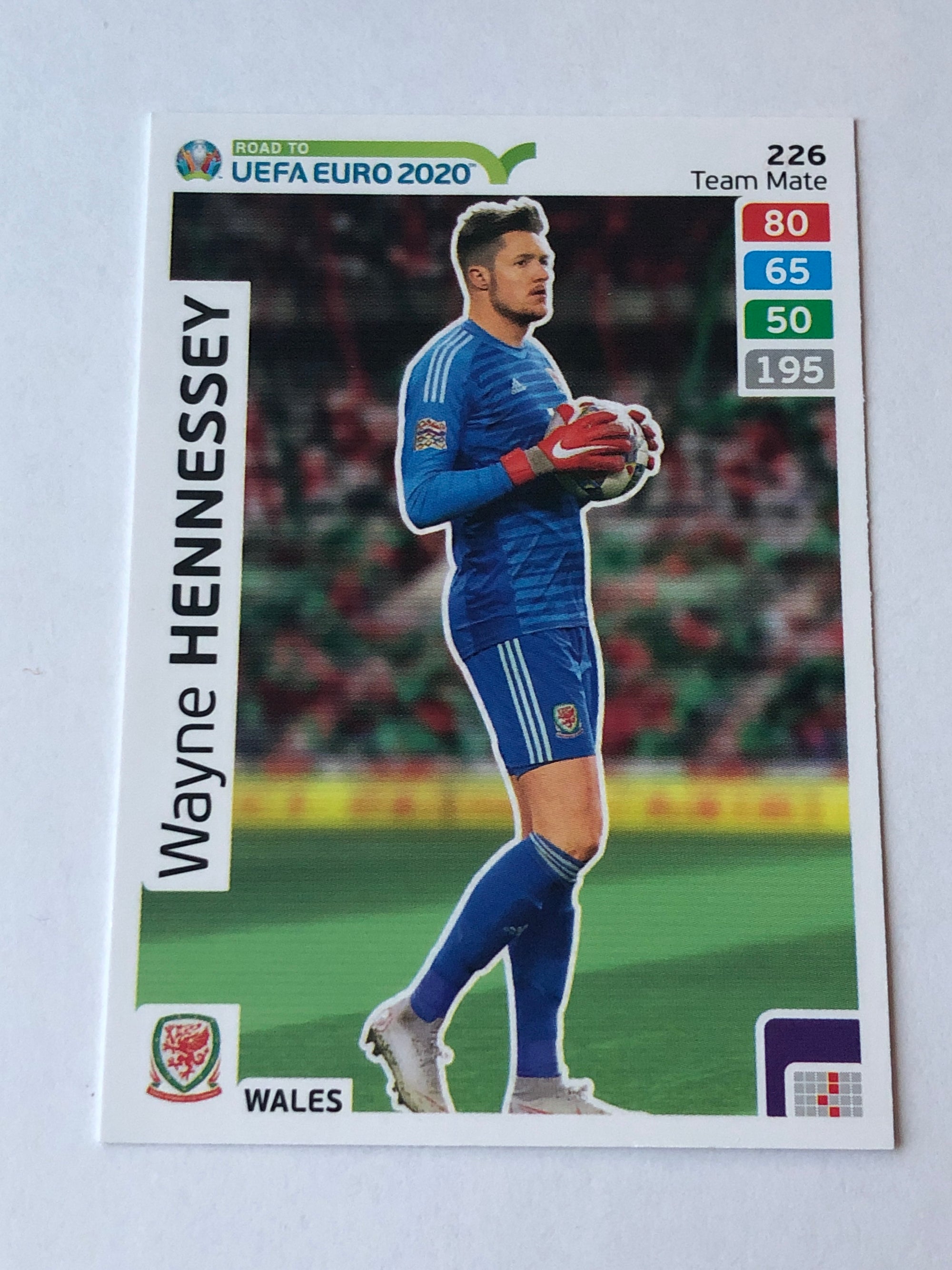 226. WAYNE HENNESSEY - WALES