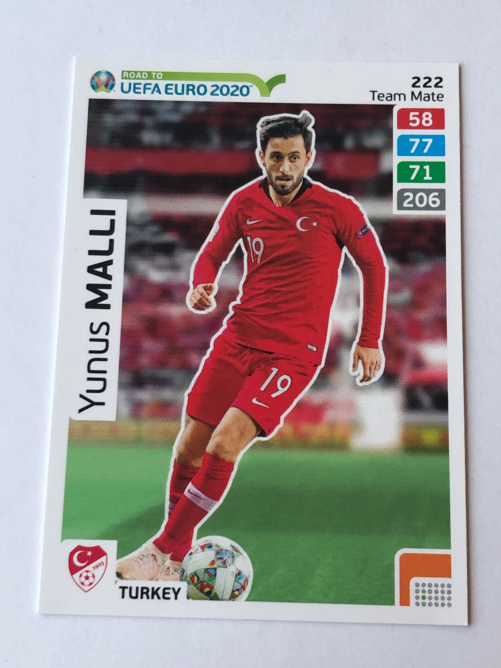 222. YUNUS MALLI - TYRKIA