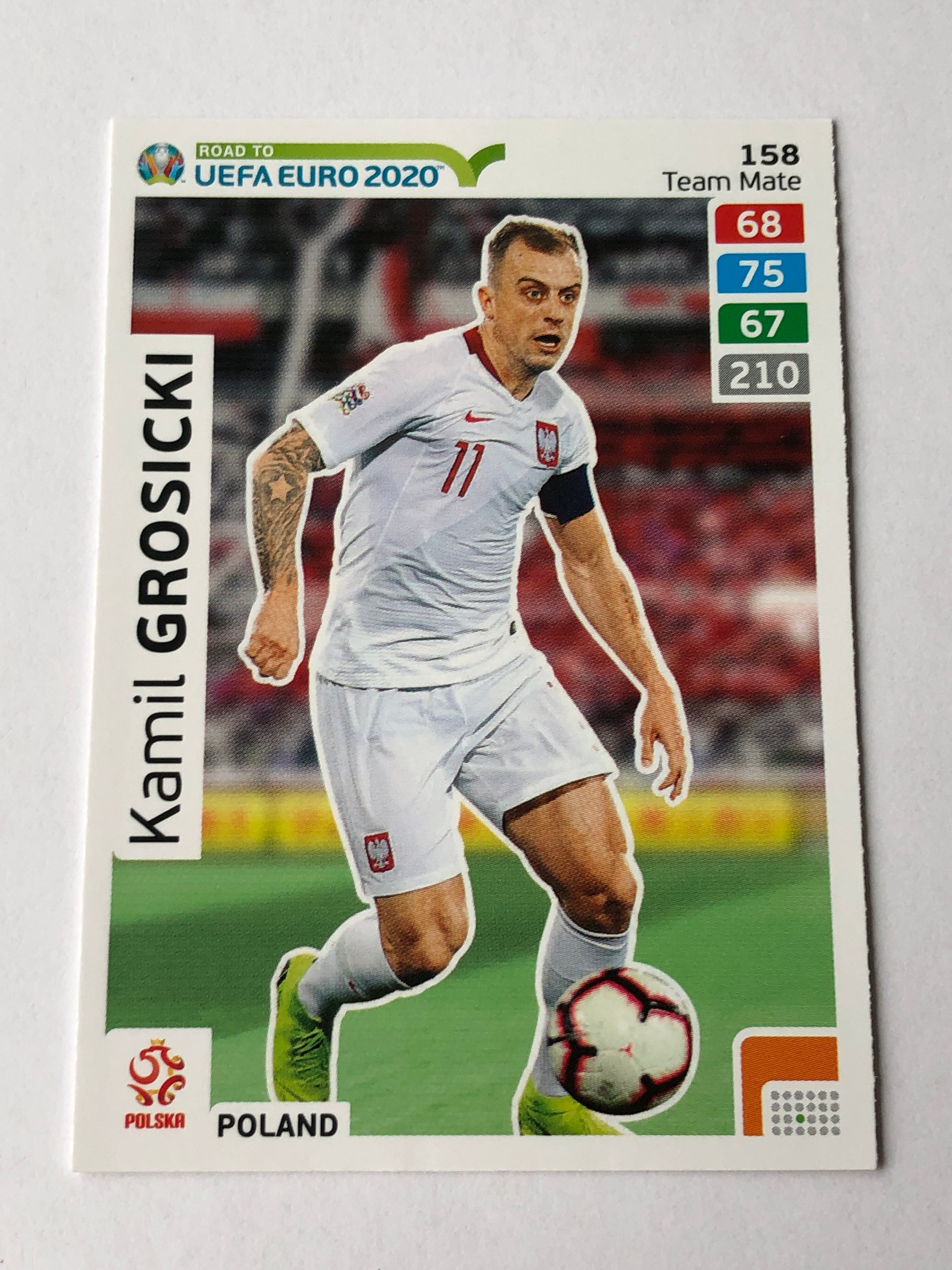 158. KAMIL GROSICKI - POLEN