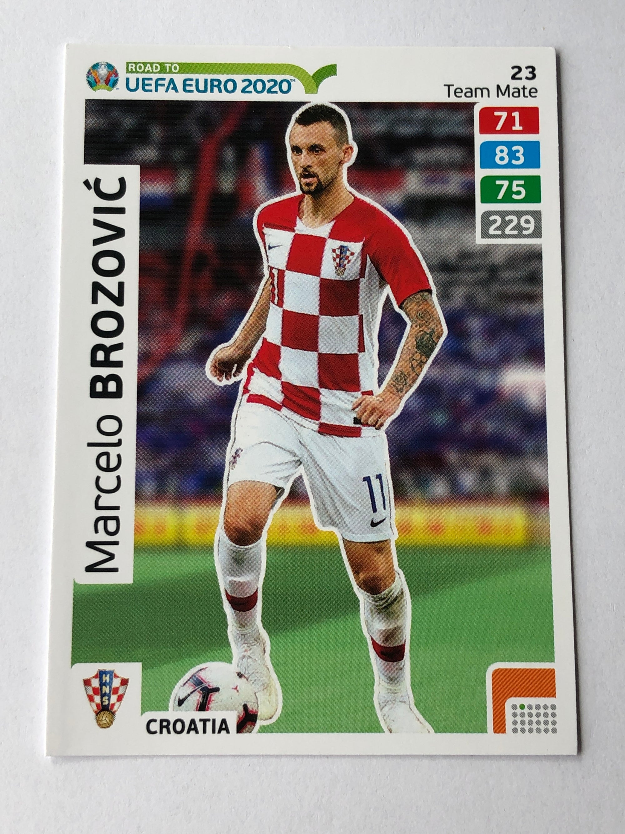 023. MARCELO BROZOVIC - KROATIA