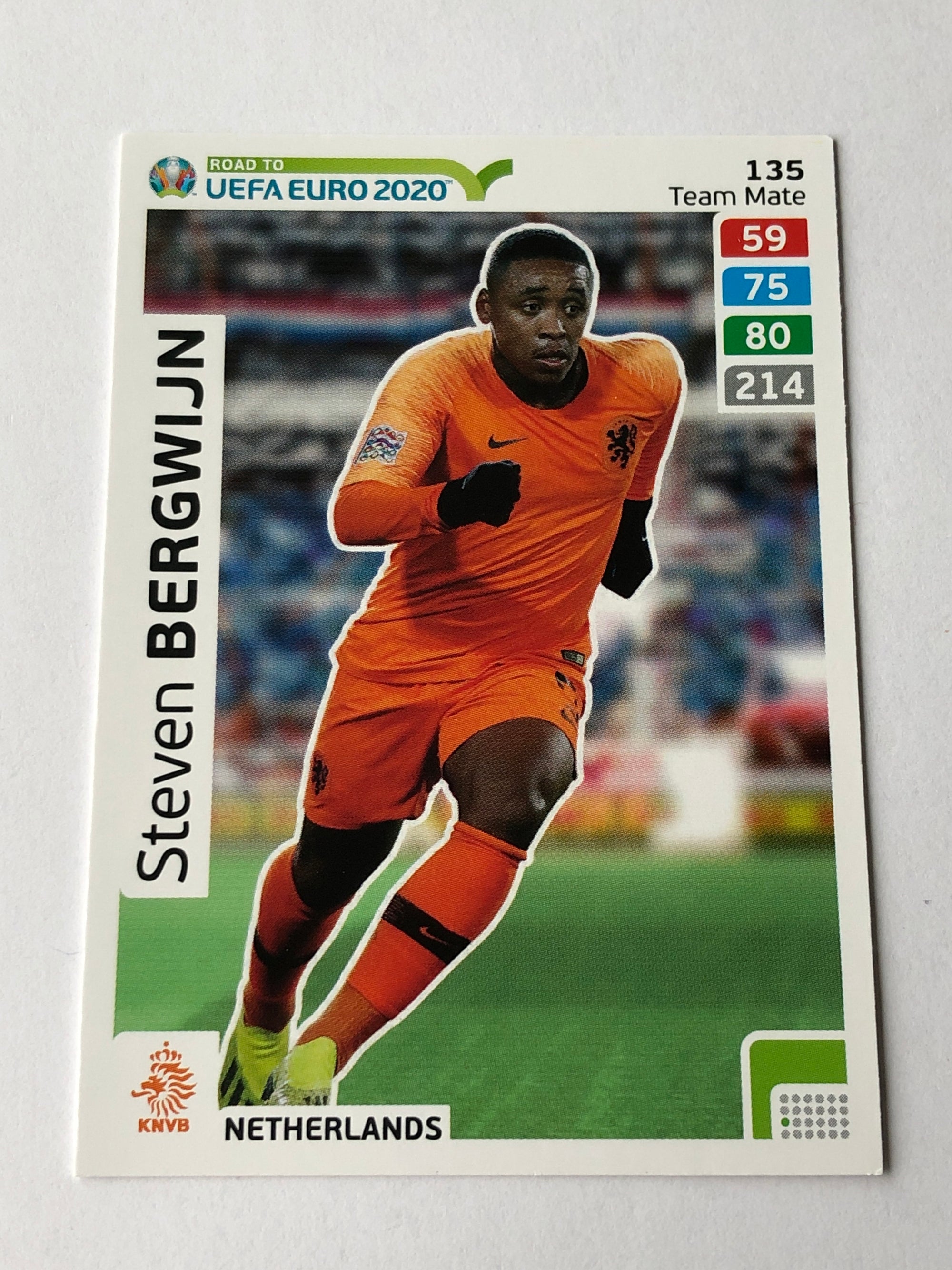 135. STEVEN BERGWIJN - NEDERLAND