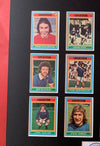 LEICESTER CITY FOTBALLKORTMONTASJE FRA 1976/77 - GRAY BACKS
