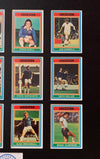 LEICESTER CITY FOTBALLKORTMONTASJE FRA 1976/77 - GRAY BACKS