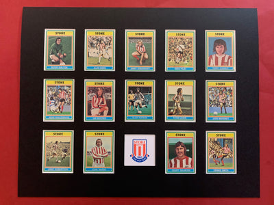STOKE CITY FOTBALLKORTMONTASJE FRA 1976/77