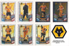 000. WOLVERHAMPTON WANDERERS  - TOPPS MATCH ATTAX CHAMPIONSHIP EDITION 2012/13